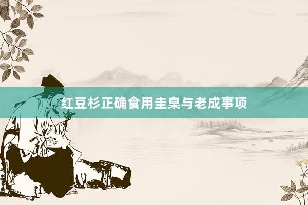 红豆杉正确食用圭臬与老成事项