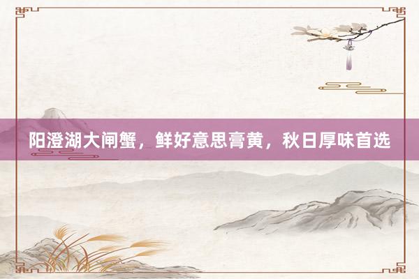 阳澄湖大闸蟹，鲜好意思膏黄，秋日厚味首选